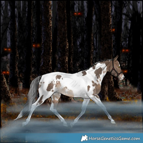 Horse Color:White Spotted Bay Dun Tobiano Rabicano 