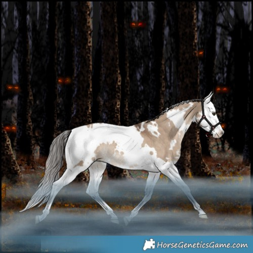 Horse Color:White Spotted Liver Red Dun Splash Rabicano 