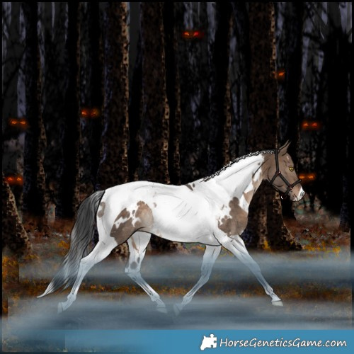 Horse Color:White Spotted Bay Dun Tobiano Rabicano 