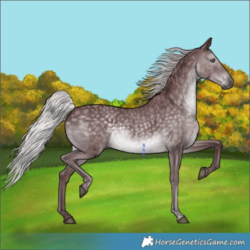 Horse Color:Chocolate Silver Black Chinchilla 