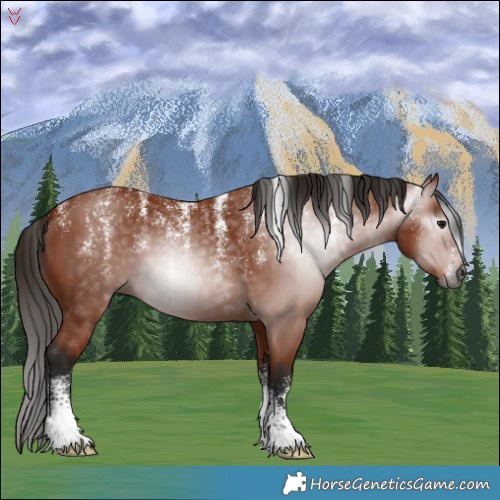 Horse Color:Powder White Gray Bay