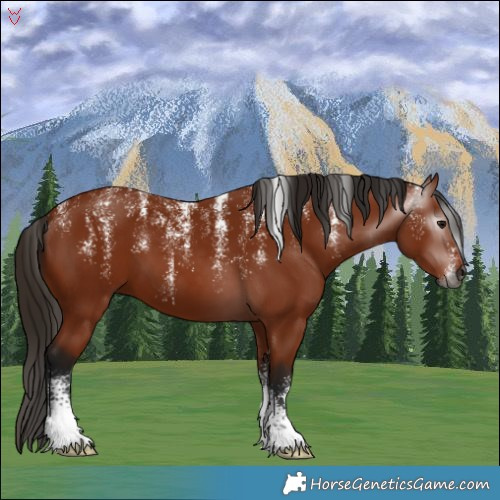 Horse Color:Powder White Gray Bay