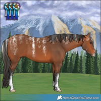 Horse Color:Powder White Bay 