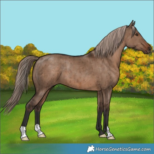 Horse Color:Liver Red Dun Brindle