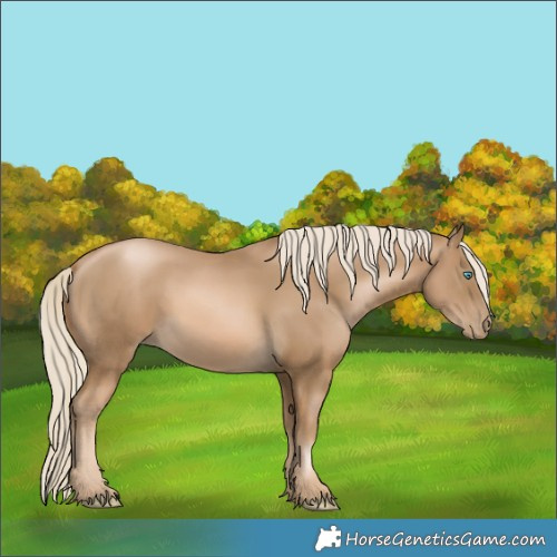 Horse Color:Chocolate Palomino Pearl