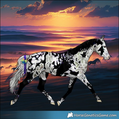 Horse Color:Watercolor Plaid  Silver Blue Onyx Ice Sabino Splash Tobiano Appaloosa 