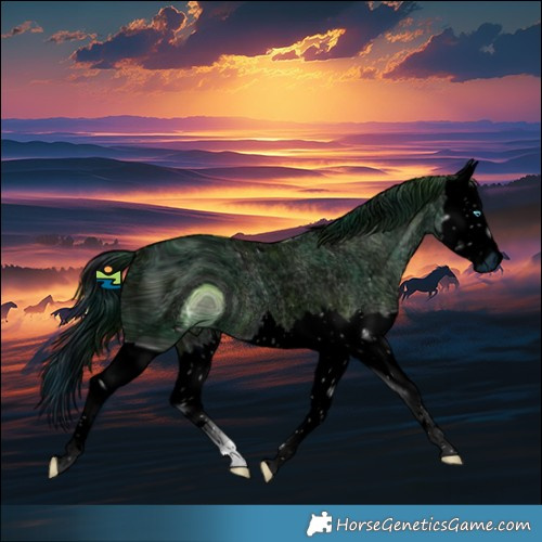 Horse Color:ERROR: UNKNOWN ANOMALY