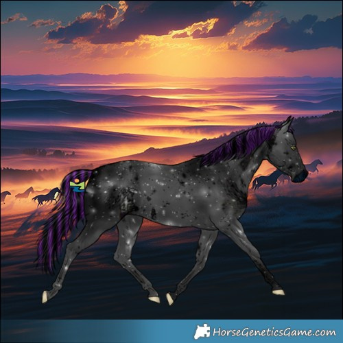 Horse Color:ERROR: UNKNOWN ANOMALY