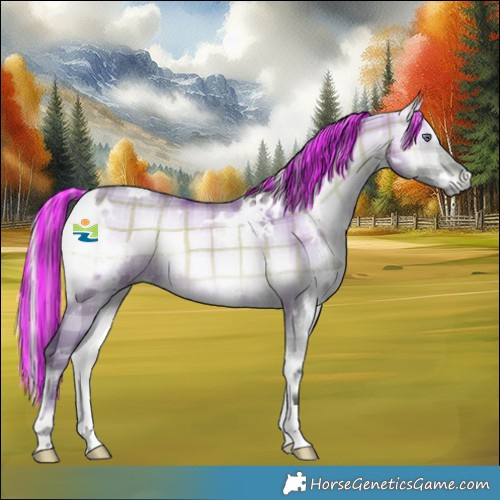 Horse Color:Painted Plaid  White Spotted Silver Brown Chinchilla Onyx 