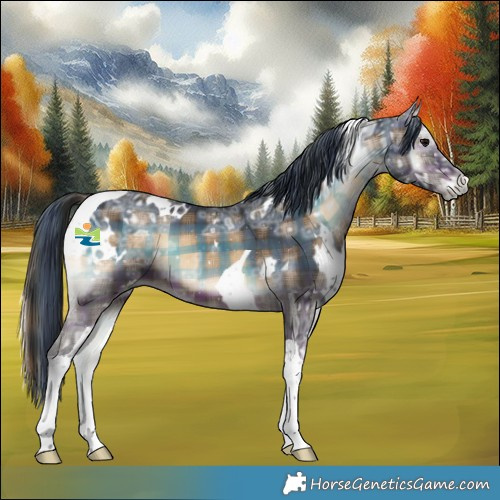 Horse Color:Plaid  White Spotted Brown Ice Onyx Tobiano 