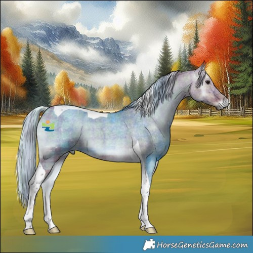 Horse Color:Plaid Chocolate Silver Brown Roan Onyx Tobiano
