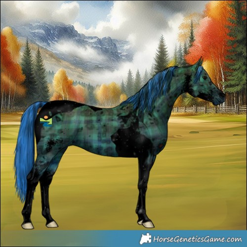 Horse Color:ERROR: UNKNOWN ANOMALY