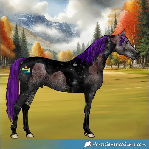 Horse Color:ERROR: UNKNOWN ANOMALY