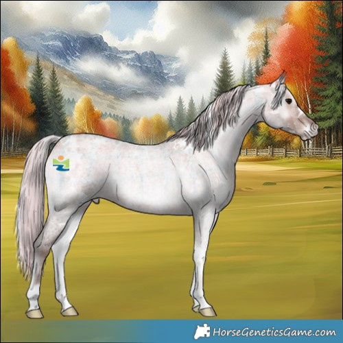 Horse Color:Plaid White Spotted Silver Bay Roan Onyx