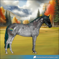 Horse Color:ERROR: UNKNOWN ANOMALY