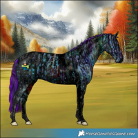 Horse Color:ERROR: UNKNOWN ANOMALY and ERROR: UNKNOWN ANOMALY