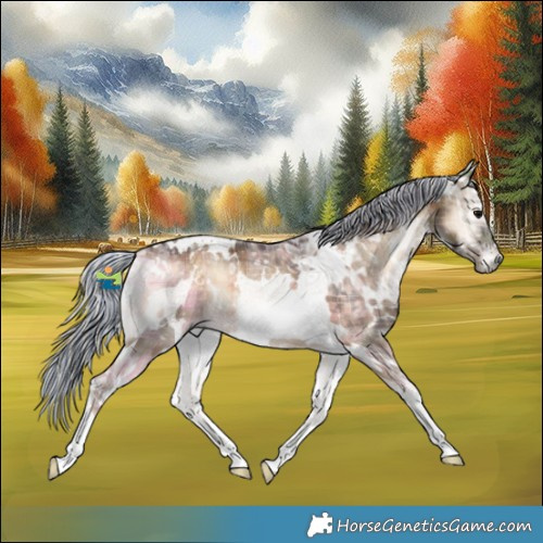 Horse Color:Painted Plaid White Spotted Chocolate Silver Bay Ice Onyx