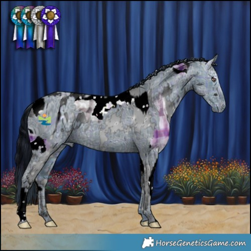 Horse Color:Plaid  Silver Black Chinchilla Ice Splash Tobiano  and ERROR: UNKNOWN ANOMALY