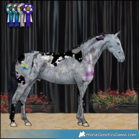 Horse Color:Plaid  Silver Black Chinchilla Ice Splash Tobiano  and ERROR: UNKNOWN ANOMALY