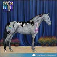 Horse Color:Plaid  Silver Black Chinchilla Ice Splash Tobiano  and ERROR: UNKNOWN ANOMALY