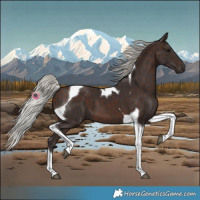 Horse Color:Silver Brown Tobiano 