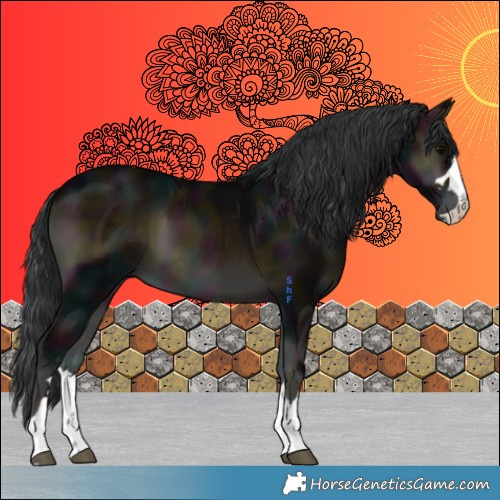 Horse Color:Midnight Brown Onyx 