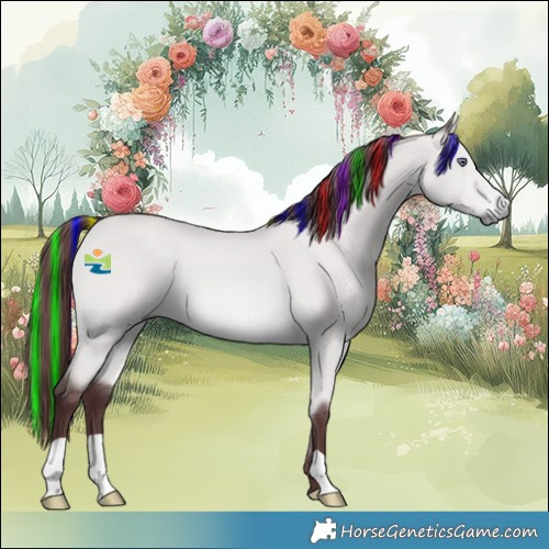 Horse Color:Painted Chocolate Bay Chinchilla 