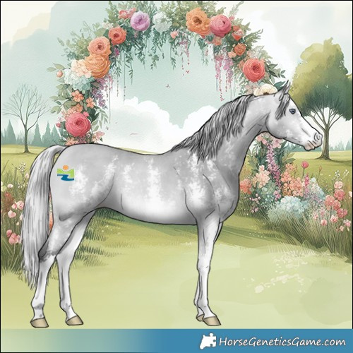 Horse Color:Silver Bay Chinchilla Sabino