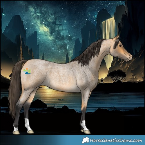 Horse Color:Buckskin Roan 