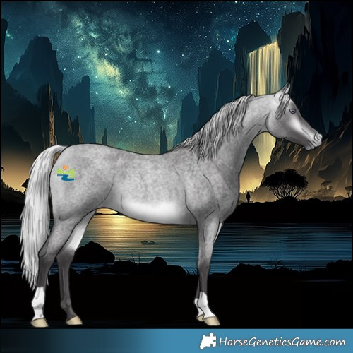 Horse Color:Platinum Silver Buckskin Chinchilla Roan 