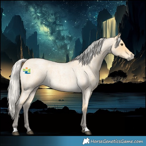 Horse Color:Silver Buckskin Roan 