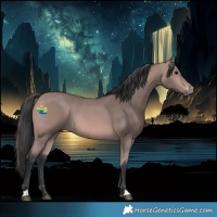Horse Color:Platinum Bay 