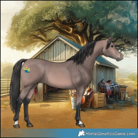 Horse Color:Platinum Bay 