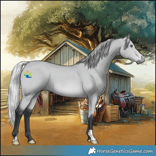 Horse Color:Silver Bay Chinchilla