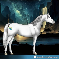 Horse Color:Palomino Chinchilla Roan