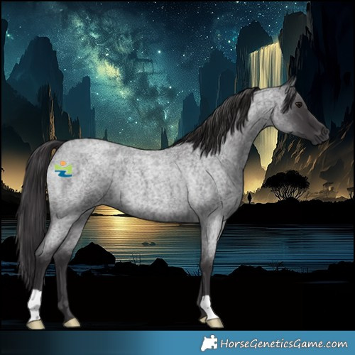 Horse Color:Smoky Blue Roan 
