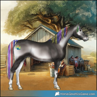 Horse Color:Gray Platinum Painted Silver Brown Onyx