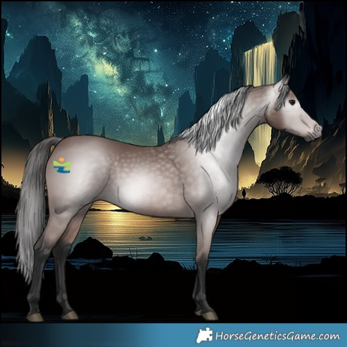 Horse Color:Gray Platinum Bay Rabicano 