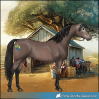 Horse Color:Gray Platinum Bay Rabicano
