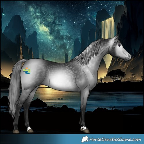 Horse Color:Gray Platinum Brown Chinchilla 