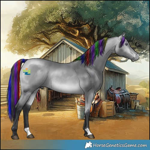 Horse Color:Painted Bay Chinchilla Rabicano 