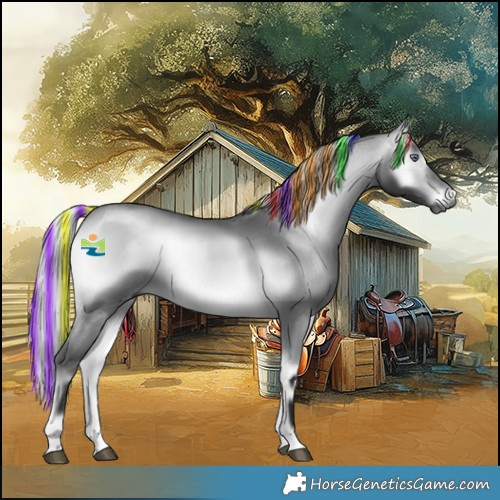 Horse Color:Gray Painted Silver Bay Chinchilla Onyx Rabicano