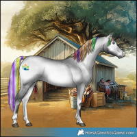 Horse Color:Gray Painted Silver Bay Chinchilla Onyx Rabicano
