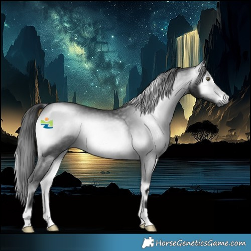 Horse Color:Gray Brown Chinchilla Onyx Rabicano 