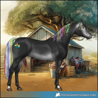 Horse Color:Gray Platinum Painted Silver Brown Chinchilla