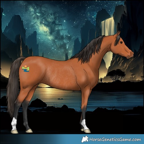 Horse Color:Bay Rabicano 