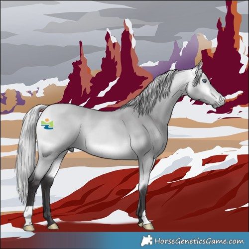 Horse Color:Silver Buckskin Chinchilla 