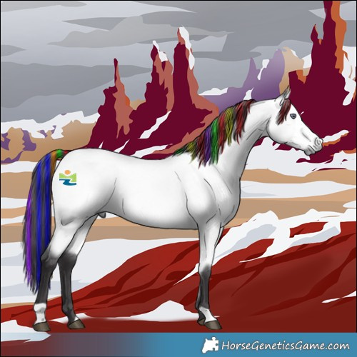 Horse Color:Painted Buckskin Chinchilla 
