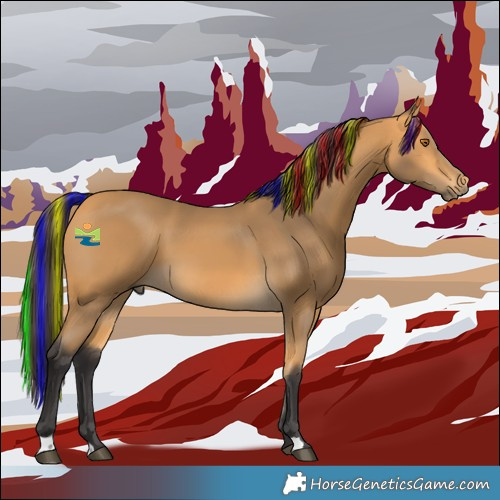 Horse Color:Painted Buckskin 