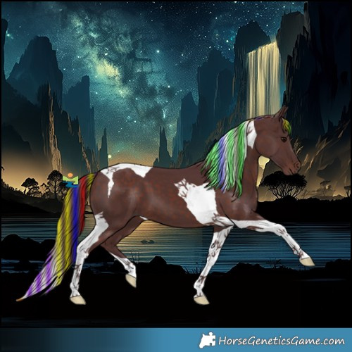 Horse Color:Painted Chocolate Brown Tobiano 